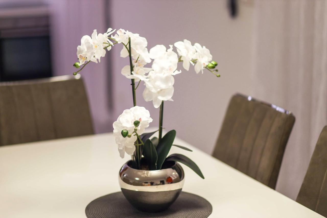 Villa Castelli, Apartment With Pool, Kaštela מראה חיצוני תמונה